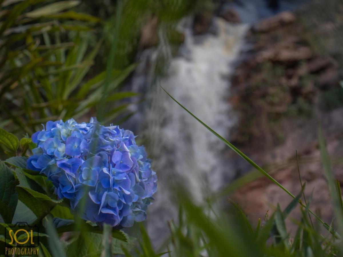 Pousada Aguas Da Mata Brejetuba المظهر الخارجي الصورة