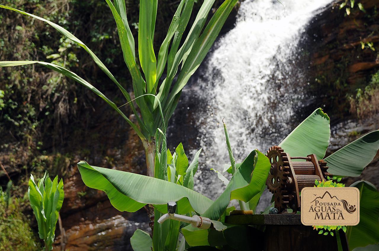 Pousada Aguas Da Mata Brejetuba المظهر الخارجي الصورة