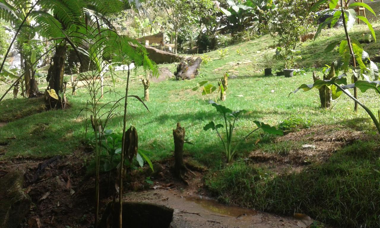 Pousada Aguas Da Mata Brejetuba المظهر الخارجي الصورة